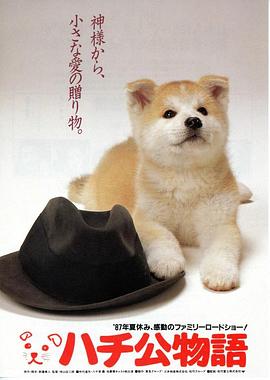 橘子盘搜